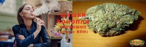 spice Армянск